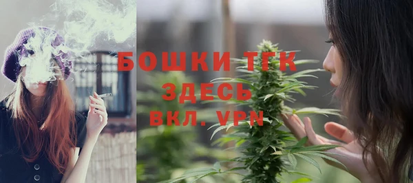 прущие грибы Беломорск