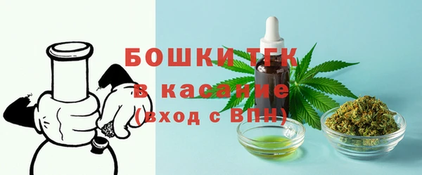 прущие грибы Беломорск