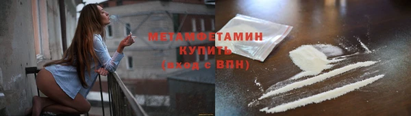 прущие грибы Беломорск