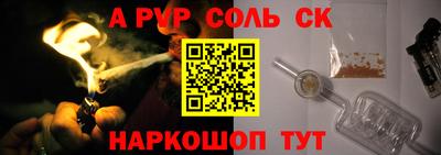 гашик Кингисепп
