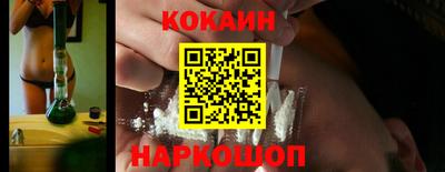 гашик Кингисепп