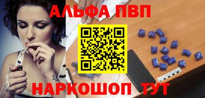 гашик Кингисепп