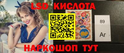 гашик Кингисепп