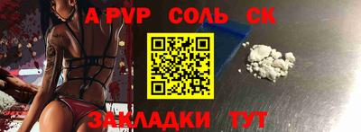 гашик Кингисепп