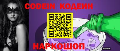 гашик Кингисепп