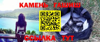 гашик Кингисепп