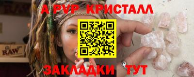 гашик Кингисепп