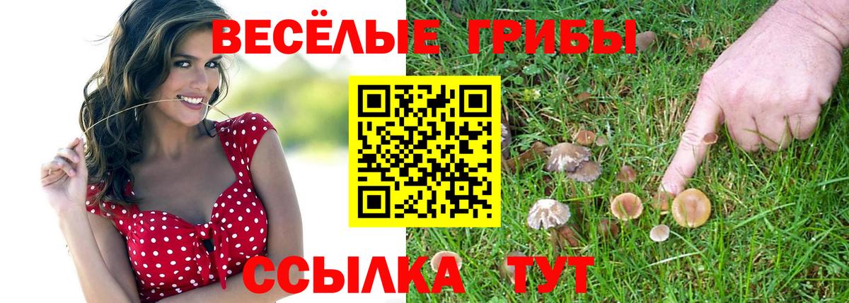 Галлюциногенные грибы мицелий Кстово