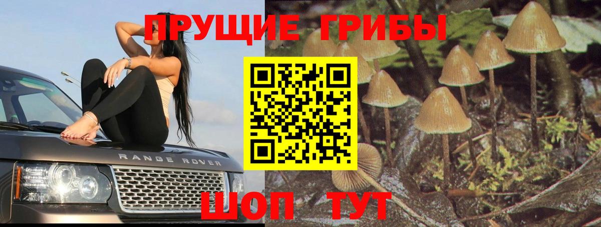 Кстово  купить наркотик  Вход с VPN  Галлюциногенные грибы мицелий 